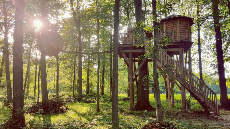 Lire la suite à propos de l’article J’ai réalisé un rêve d’enfant : dormir dans une cabane dans les arbres