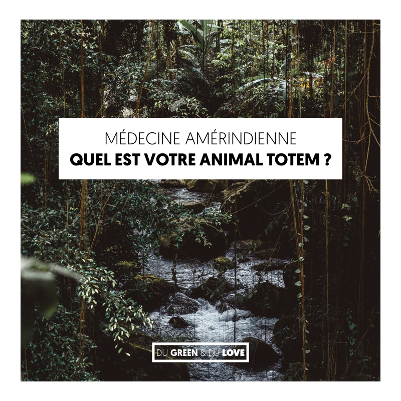 du-green-et-du-love-article-medecine-amerindienne-animal-totem.001