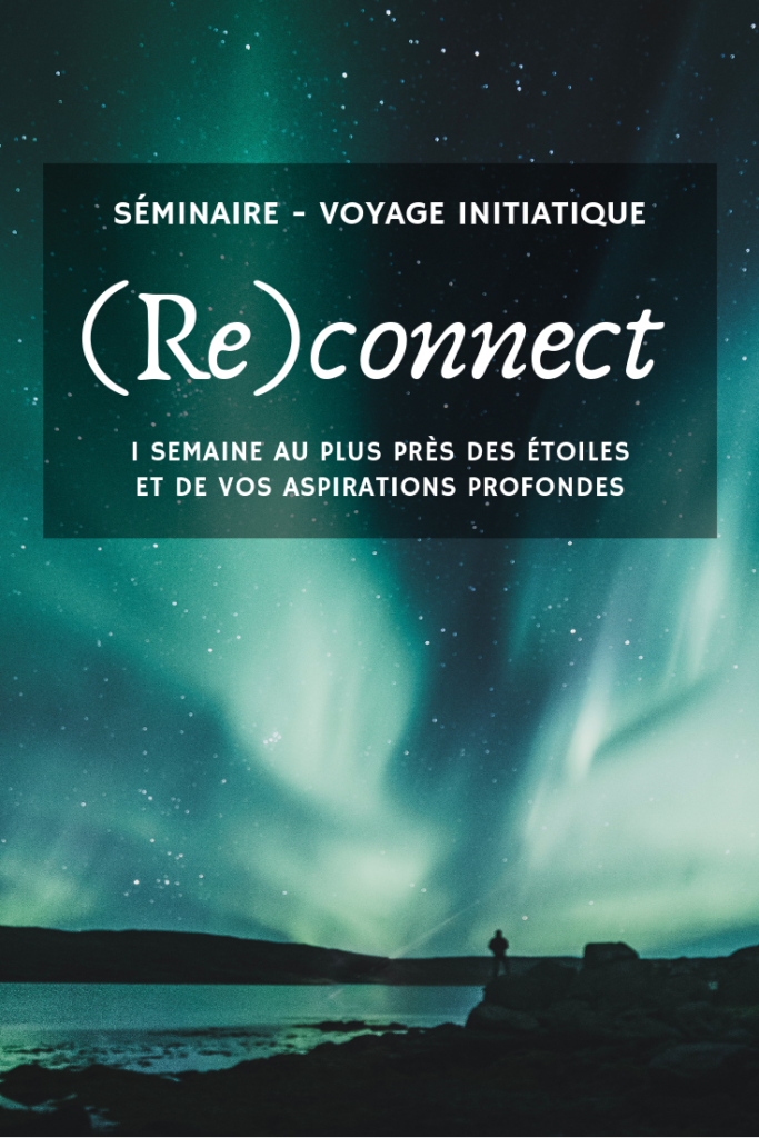dugreenetdulove-voyage-initiatique-nord-europe-aurores-boreales-seminaire-reconnect